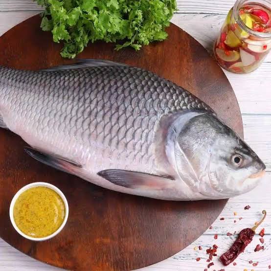 Katla Curry Cut with head  size 1-2kg
