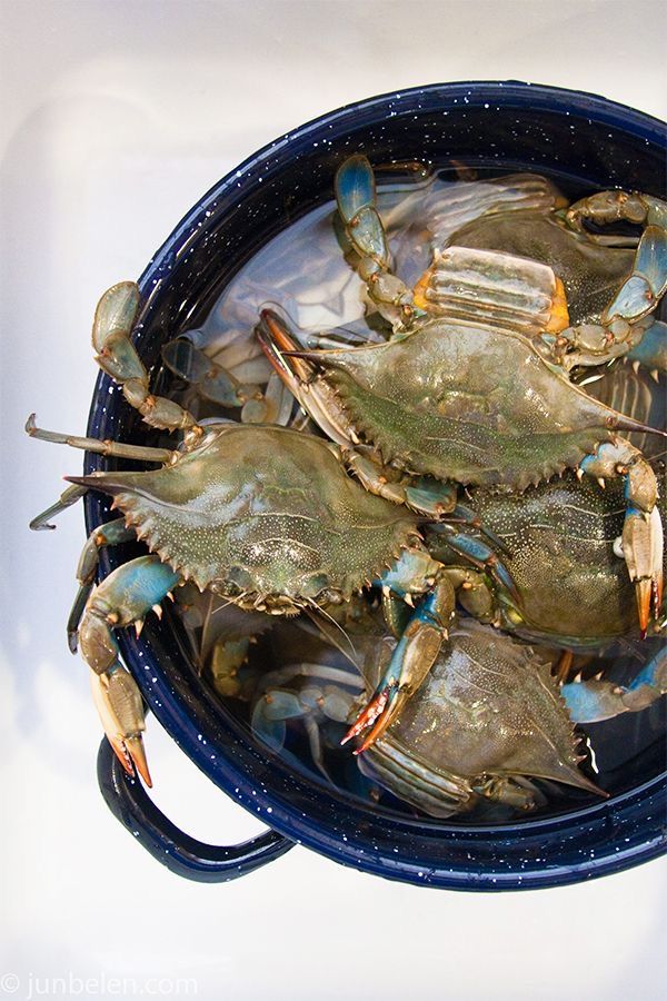 Crabs