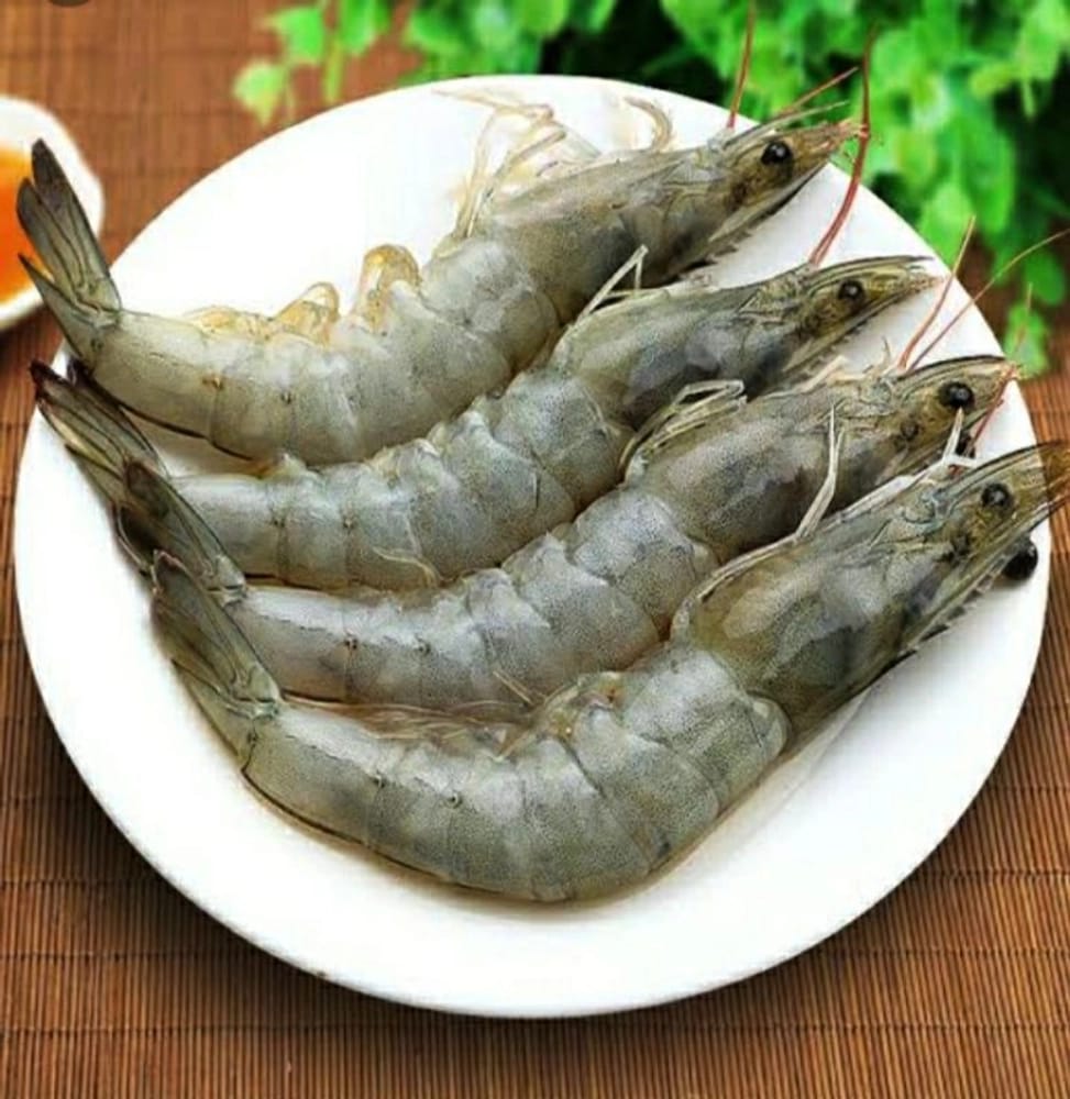 Prawns/Jhinga/Chabra Chigri (Large) with Head & Shell
